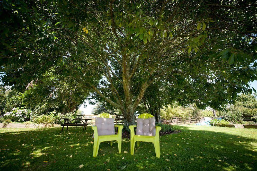 Tower Road Motel Matamata Extérieur photo
